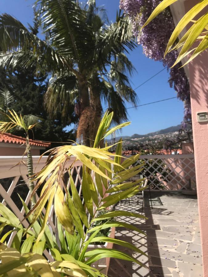 Apartament Casa Do Poco Funchal (Madeira)